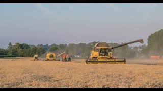 [MOISSON 2016] 3 moissonneuses avec 2 Fendt 900 Vario (920 & 936)