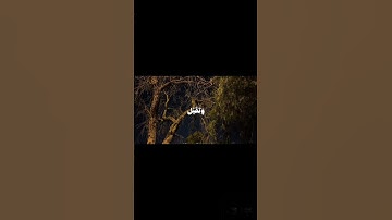 رَبِّ اجْعَلْنِي مُقِيمَ الصَّلاَةِ . الشيخ : سعيد مرعي الاحمري | #اجر_لي_ولك #سورة_إبراهيم #لايك