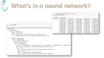 Lesson 3: Practical Deep Learning for Coders 2022