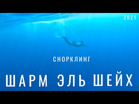 Египет. 2022. Шарм эль шейх. Лучший. Снорклинг. Пляж. Египет 2021. Экскурсия гора Синай. Гора Моисея