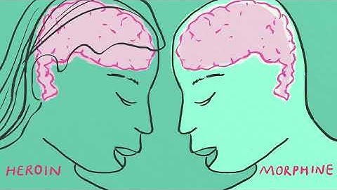 What causes addiction, and why is it so hard to treat? - Judy Grisel