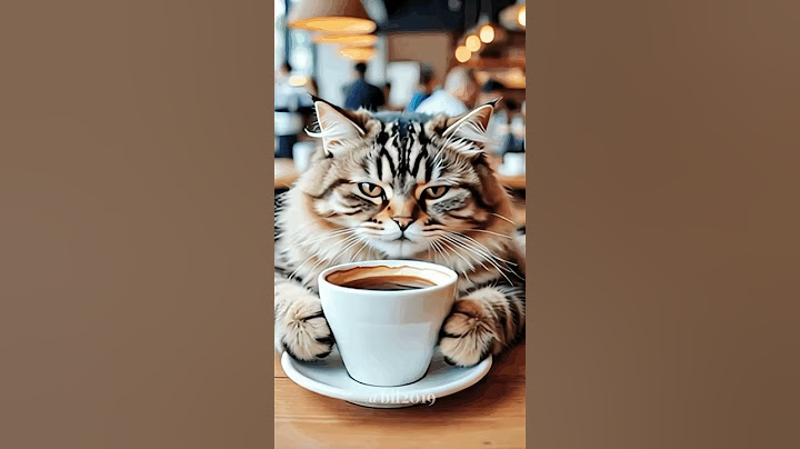 Hey look!!cute cat is drinking coffee at the coffee shop #ai #shorts #trending #cat #aivideo