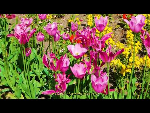 Chris James 12 Hours Official Lyric Video