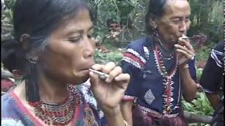 Tboli tribal members roll their own cigarettes,  Mindanao, Philippines. by Alan Geoghegan 455 views 3 years ago 1 minute, 44 seconds