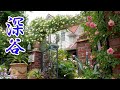【Private Residence】Private Gardens of Citizens in Fukaya City. Open Garden 2021. #4K #オープンガーデン