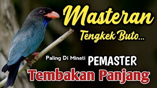 Download Lagu MASTERAN TENGKEK BUTO PALING DI CARI ~ MATERI CEPAT DIHAFAL OLEH BURUNG CENDET, MURAI, CUCAK HIJAU MP3 Download Lagu MASTERAN TENGKEK BUTO PALING DI CARI ~ MATERI CEPAT DIHAFAL OLEH BURUNG CENDET, MURAI, CUCAK HIJAU MP3