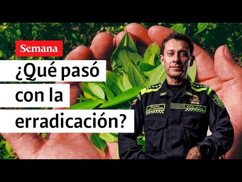 ¿Por qué no se erradicó ni una sola mata de coca en enero de 2023 en Colombia? | Videos Semana