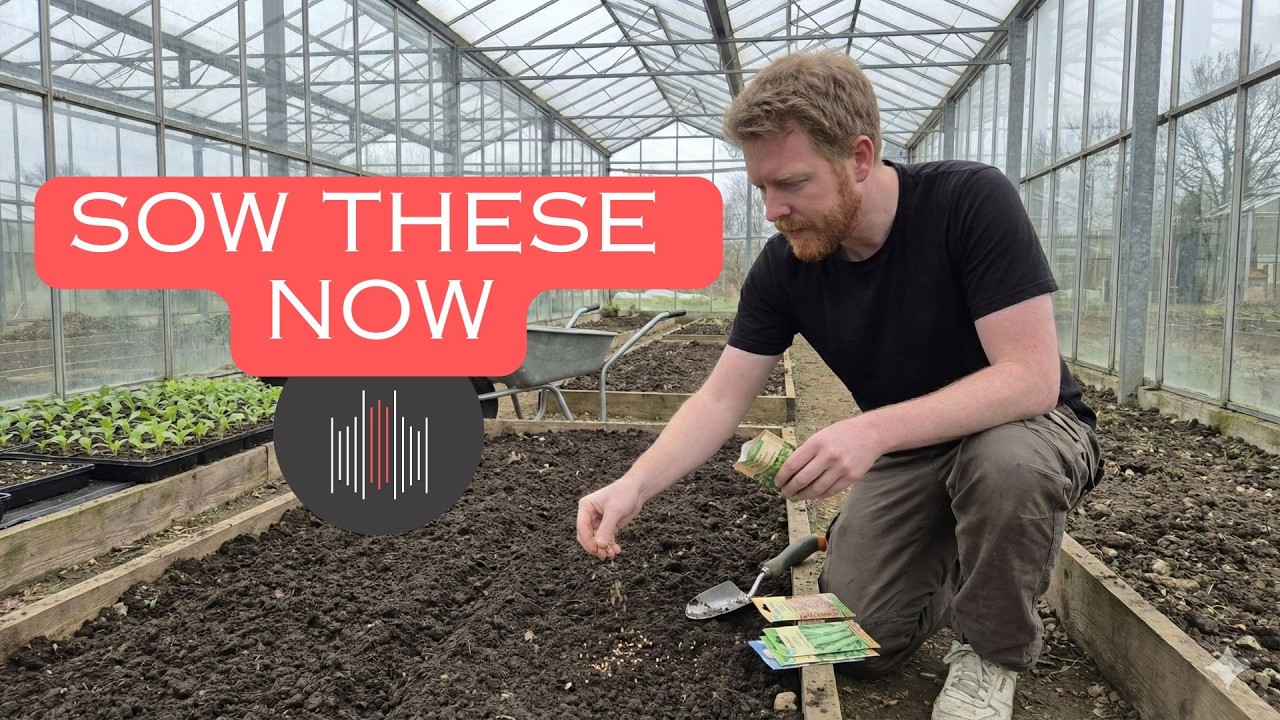 What to Plant in January in Europe - 20 Things You Can Start Right Now