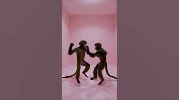 Apt Apt song by Bruno Mars and Rosé | Apateu Apateu | Apt Apt Song