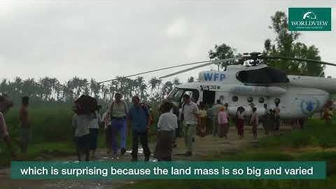 Aerial mangrove restoration using drones