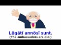 Latin Grammar Concepts and Adjectives