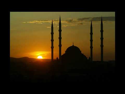 Adaan Mahmoud Khalil Al Hussary