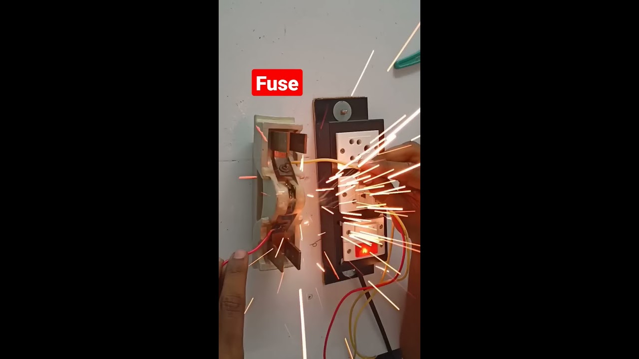 Fuse Shorts