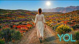 Yol (Söz - Müzik: Ömür Özdeş Meral)