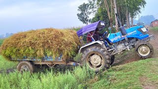 Sonalika Sikandar Tractor Over Loading | Tractor Stuck in Mud