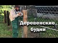 Куры на свободе // Аномальная жара // Готовлюсь к главному взятку.