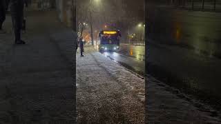 Arkhangelsk 5 no. Bus #shortsfeed #shorts #short #uae #russia #arkhangelsk #архангелы