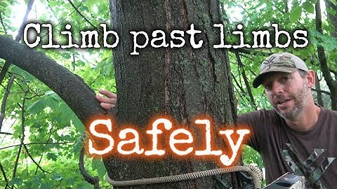 one sticking - how to climb past limbs safely
