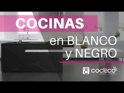 Video: Cocina en blanco y negro en el interior: foto de diseño