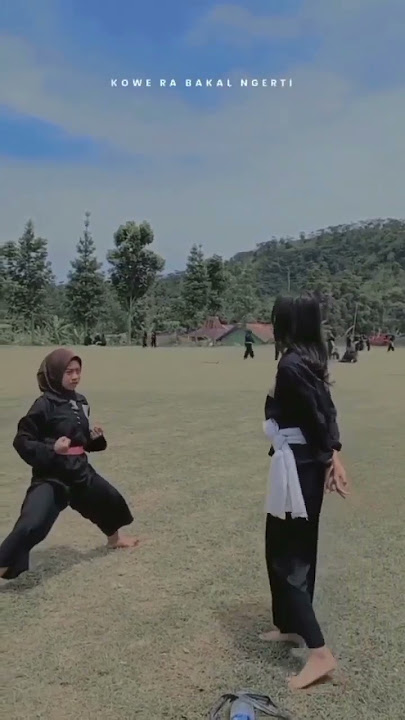 Story wa psht terbaru srikandi psht