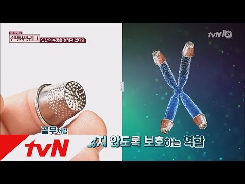 gentleman league 수명을 예측할 수 있는 방법, 텔로미어! 160421 EP.28