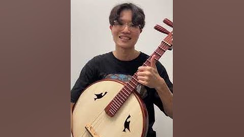 Explained: Composite vs steel fret Zhongruan