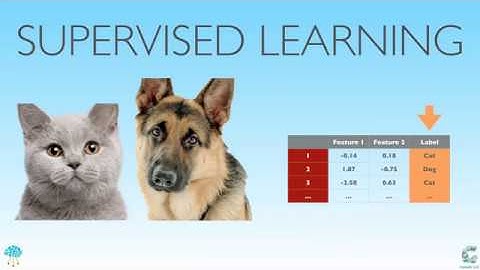 Weekly #83: Get Started on ML and DL