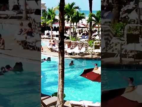 Video: 8 parasta Clearwater Beachia, Florida, hotellit