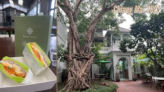 🇹🇭Chiang Mai🇹🇭 Serve the Best Breakfast and Afternoon Tea 🍰 The Inside House 🎉 2023