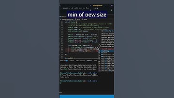 Vector Resize #datastructures #cpp #gamedev #vtuber