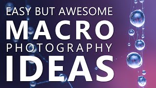 Easy Macro Photography Ideas to shoot at Bad Weather
