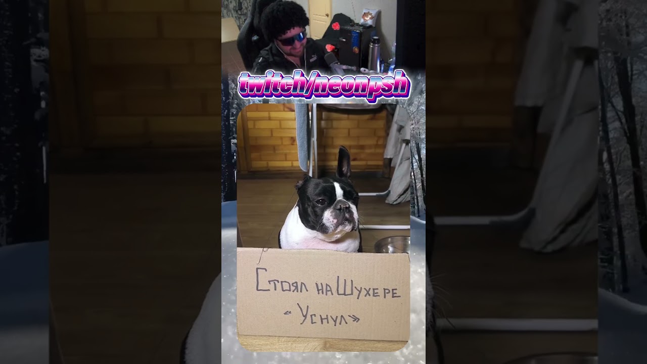 Снова наказаны🐕‍🦺| twitch.tv/neonpsh - розыгрыши и турниры каждый месяц!