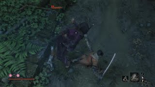 Sekiro / Lone Shadow Longswordsman no hit