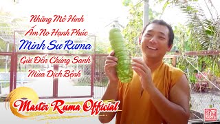 Những Mô Hình Ấm No Hạnh Phúc Ruma Gửi Đến Chúng Sanh Mùa Dịch Bệnh | Master Ruma Official