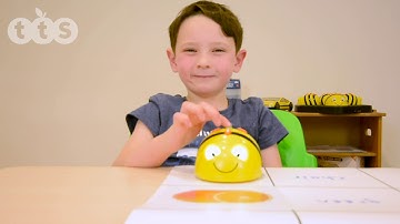 Bee-Bot® Alphabet Cards from TTS Group