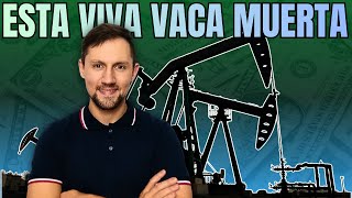 VISTA, YPF , TGS  ¿Conviene invertir en Vaca Muerta?🛢️