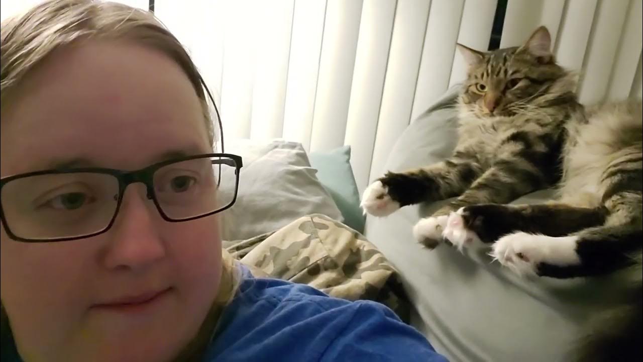 Ollie The Cat attacks my head!!! YouTube