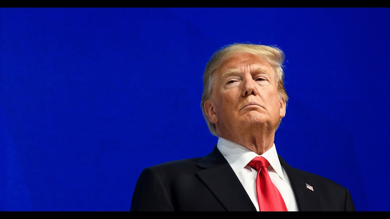trump amazonia While You Were Offline We Know What President Trump Did Last Summer