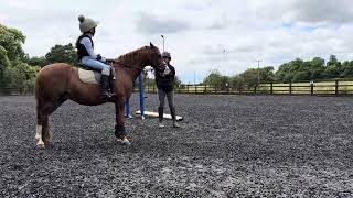 July 10Th - Viv Lesson - Left Rein Inside - Right Rein Inside