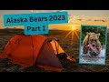 Photographing Alaskan Brown Bears Part 1. Fishing bears, moms with cubs a Red Fox and so much more!