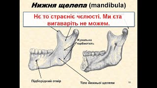 Нє то страєніє чєлюсті, слова які росіянин не вимовить