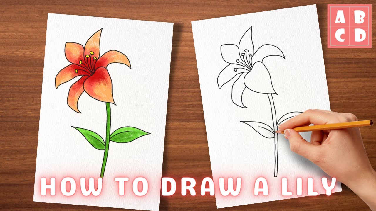 Lily flower drawing easy step by step | AnyBodyCanDraw with Sata - YouTube
