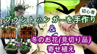 プラントハンガーづくり【初心者】と冬の花苗【見切り品】を上手に活用で盛りもりに