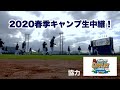 2020ファイターズキャンプ生中継【アーカイブ】 の動画、YouTube動画。