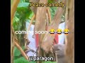 coming soon 😂😂😂