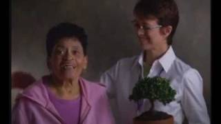 Sheltering Arms - Bonsai Tree- Commercial