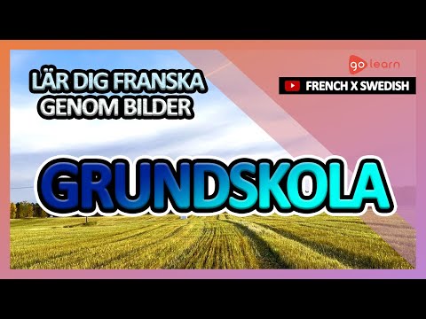 Video: I grundskolan franska?