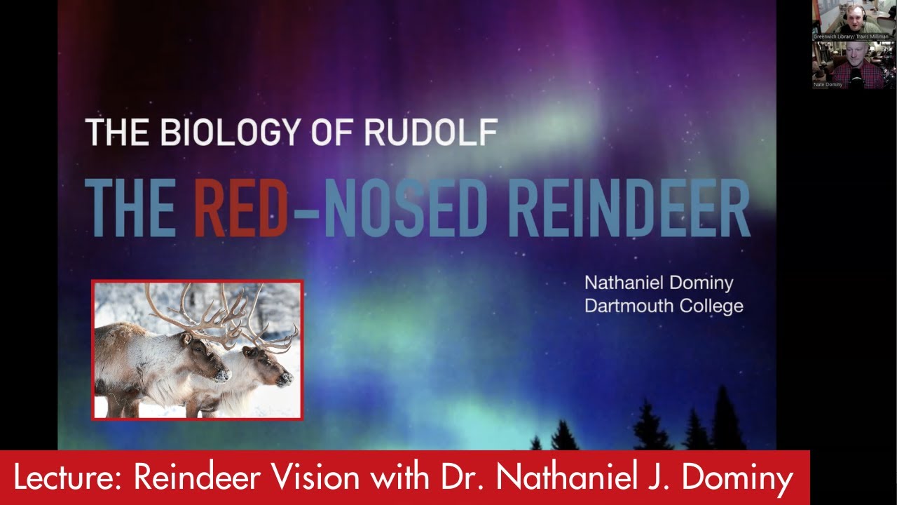 Lecture: Reindeer Vision with Dr. Nathaniel J. Dominy