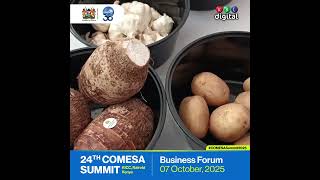 Deo Mbilinyi : Sisi kuwa hapa COMESA 2025 ni Fursa nzuri sana kwetu sisi kama wafanyibiashara