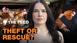 The vegans breaking the law to ‘liberate’ animals | Vegan Vigilantes | Short Documentary